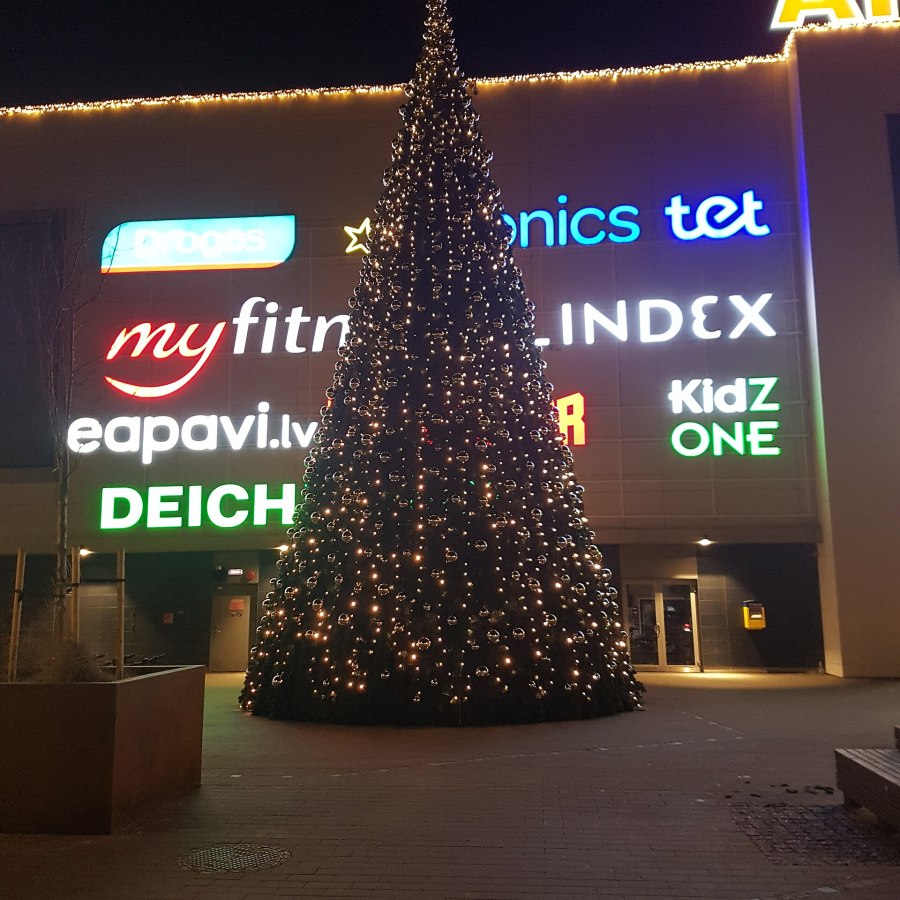 Christmas Trees