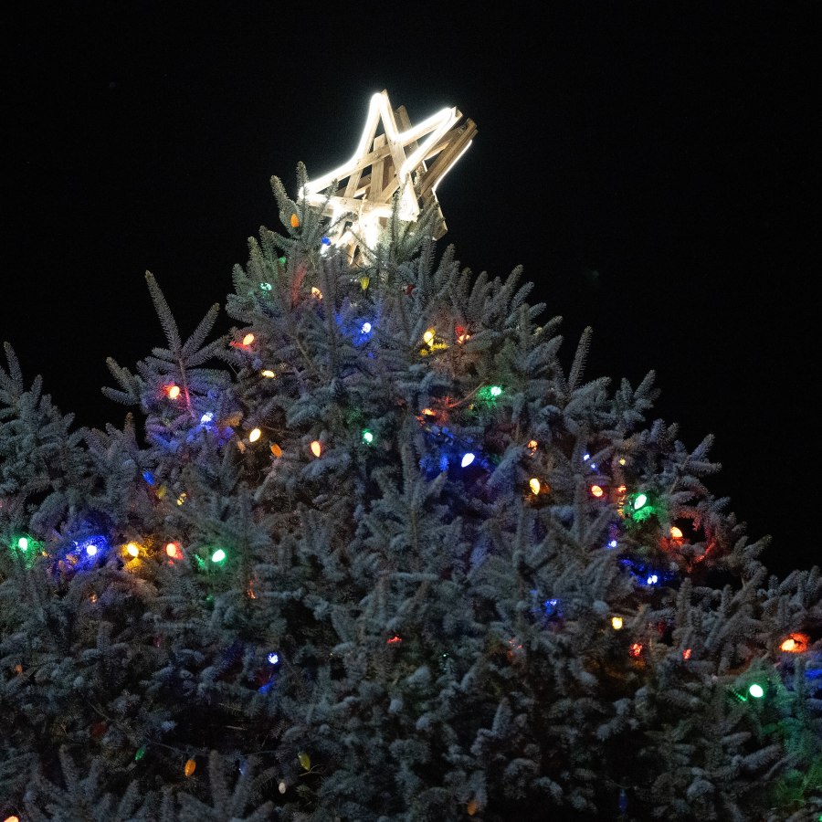 Christmas Star Light